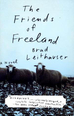 Cover of the book The Friends of Freeland by Nancy Mitford