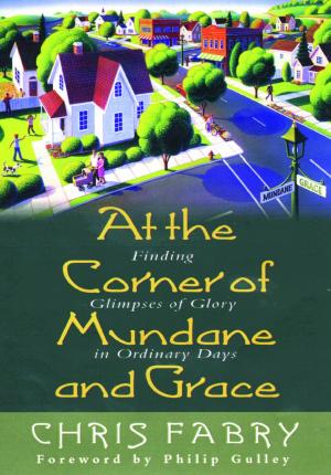 Cover of the book At the Corner of Mundane and Grace by Larry Osborne