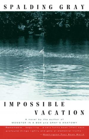 Book cover of Impossible Vacation