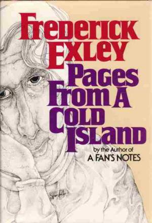 Cover of the book Page from a Cold Island by Barbara Garson