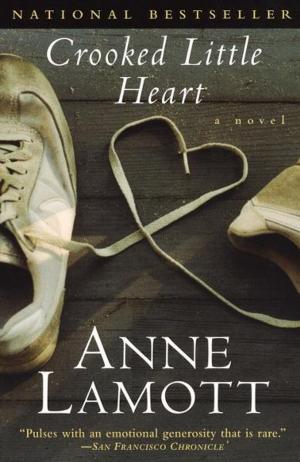 Cover of the book Crooked Little Heart by James M. Ault, Jr.