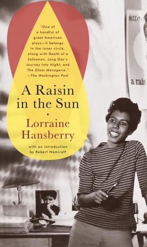 Cover of the book A Raisin in the Sun by Mary Gaitskill