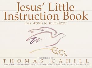 Cover of the book Jesus' Little Instruction Book by Shirley Maclaine