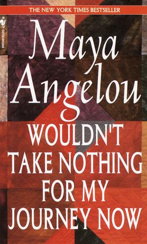 Cover of the book Wouldn't Take Nothing for My Journey Now by Ilana Rubenfeld