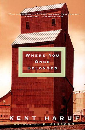 Cover of the book Where You Once Belonged by Kevin Canty
