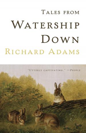 Cover of the book Tales from Watership Down by Andrew Delbanco
