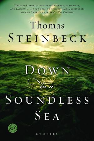 Cover of the book Down to a Soundless Sea by M J Dees