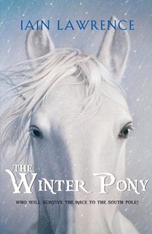 Book cover of The Winter Pony
