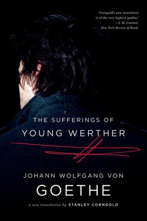 Cover of the book The Sufferings of Young Werther: A New Translation by David Warsh