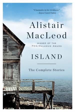 Cover of the book Island: The Complete Stories by Stanley Plumly