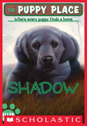 Cover of the book The Puppy Place #3: Shadow by Kelly Greenawalt