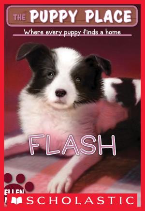 Cover of the book The Puppy Place #6: Flash by Augusta Scattergood