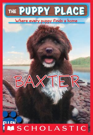 bigCover of the book The Puppy Place #19: Baxter by 