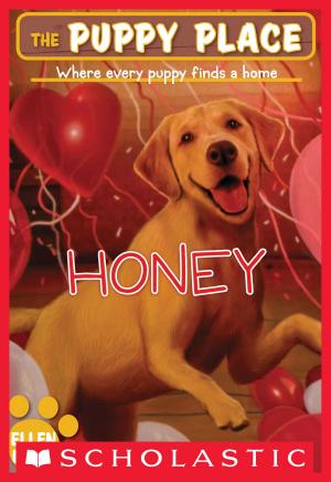Cover of the book The Puppy Place #16: Honey by R. L. Stine
