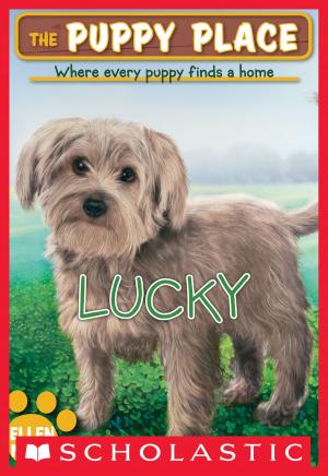 Cover of the book The Puppy Place #15: Lucky by Lisa Manzione
