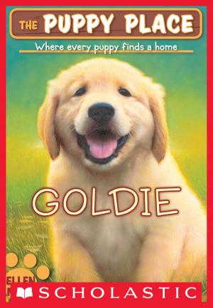 bigCover of the book The Puppy Place #1: Goldie by 