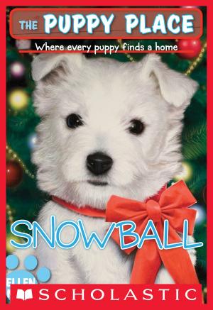 Cover of the book The Puppy Place #2: Snowball by J. J. Howard