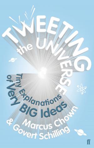 Book cover of Tweeting the Universe