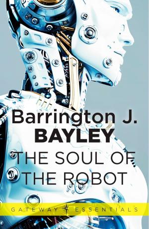 Book cover of The Soul of the Robot
