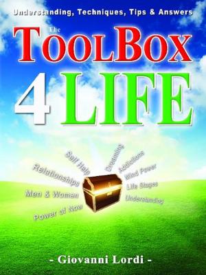 Cover of the book The ToolBox 4 Life by Loves Fire