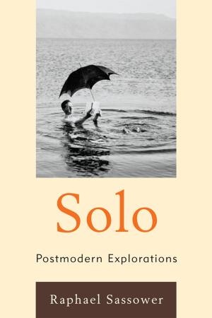 Cover of the book Solo by Wendy C. Hamblet