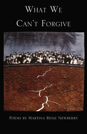 Cover of the book What We Can't Forgive by David Close