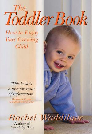 Cover of the book The Toddler Book by David Wenham