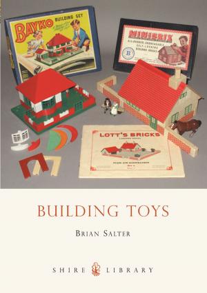 Cover of the book Building Toys by Dr Andrew Blick