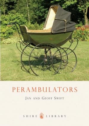 Cover of the book Perambulators by Ethan Hayden