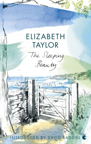 Cover of the book The Sleeping Beauty by Kate Dolan