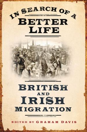 Cover of the book In Search of a Better Life by Andrew Rawson