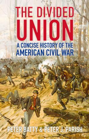 Cover of the book Divided Union by David Wilson