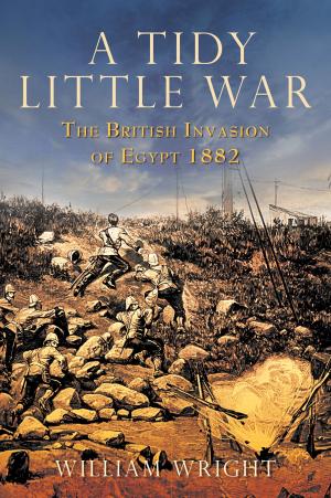 Cover of the book Tidy Little War by John Van der Kiste