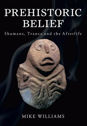Cover of the book Prehistoric Belief by Michelle Higgs