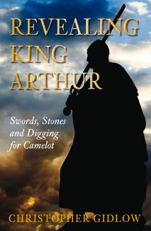 Cover of the book Revealing King Arthur by Johnny Tudor