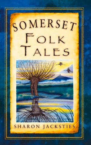 Cover of the book Somerset Folk Tales by Rachel Trethewey