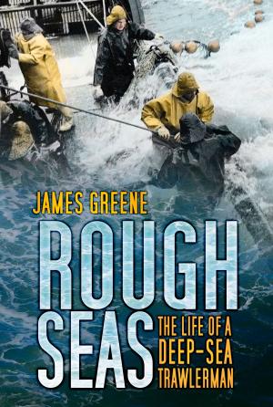 Book cover of Rough Seas