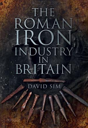 Cover of the book Roman Iron Industry in Britain by Robert Maloubier, Tania Szabó