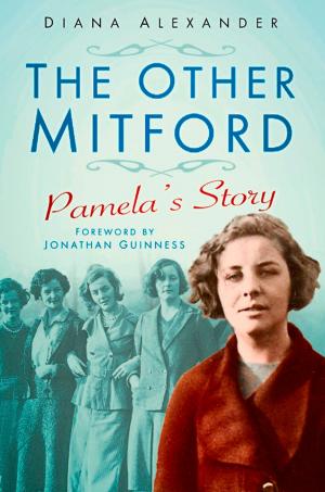 bigCover of the book Other Mitford by 