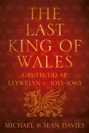 bigCover of the book Last King of Wales by 
