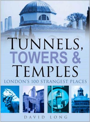 Cover of the book Tunnels, Towers & Temples by Stephen Snelling