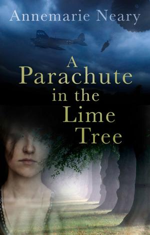 Cover of the book Parachute in the Lime Tree by Karen Jewell