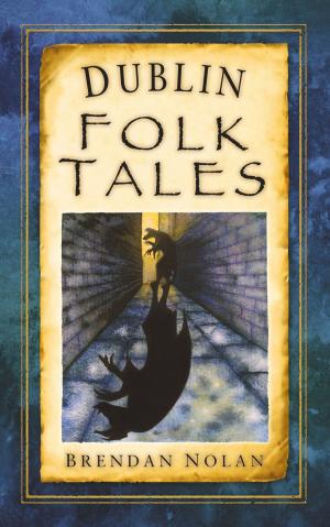 Cover of the book Dublin Folk Tales by Madeline Freeman