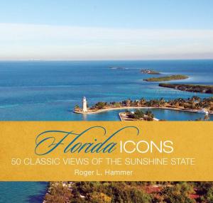 Book cover of Florida Icons