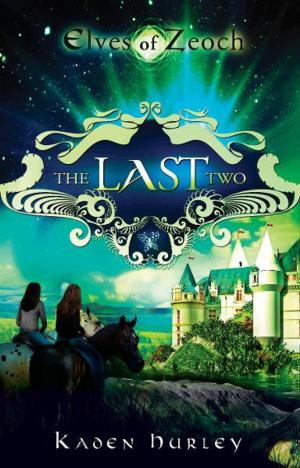 Cover of Elves of Zeoch: The Last Two