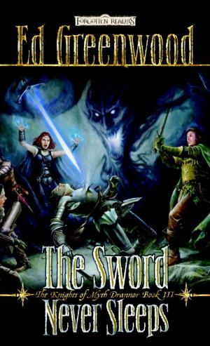 Cover of the book The Sword Never Sleeps by Mike Woods