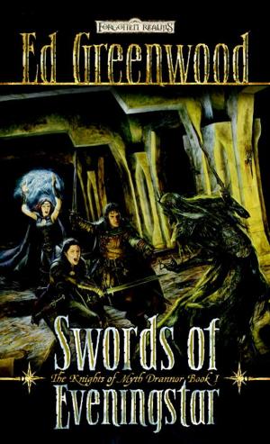 Cover of the book Swords of Eveningstar by Christopher Kellen