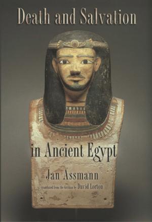 bigCover of the book Death and Salvation in Ancient Egypt by 