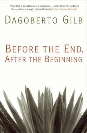 Cover of the book Before the End, After the Beginning by Mike Lawson