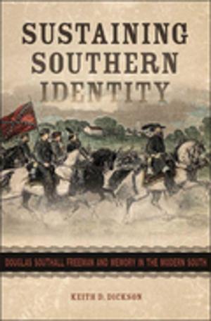Book cover of Sustaining Southern Identity